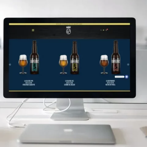 ladunoise-webdesign-site-internet-webmarketing
